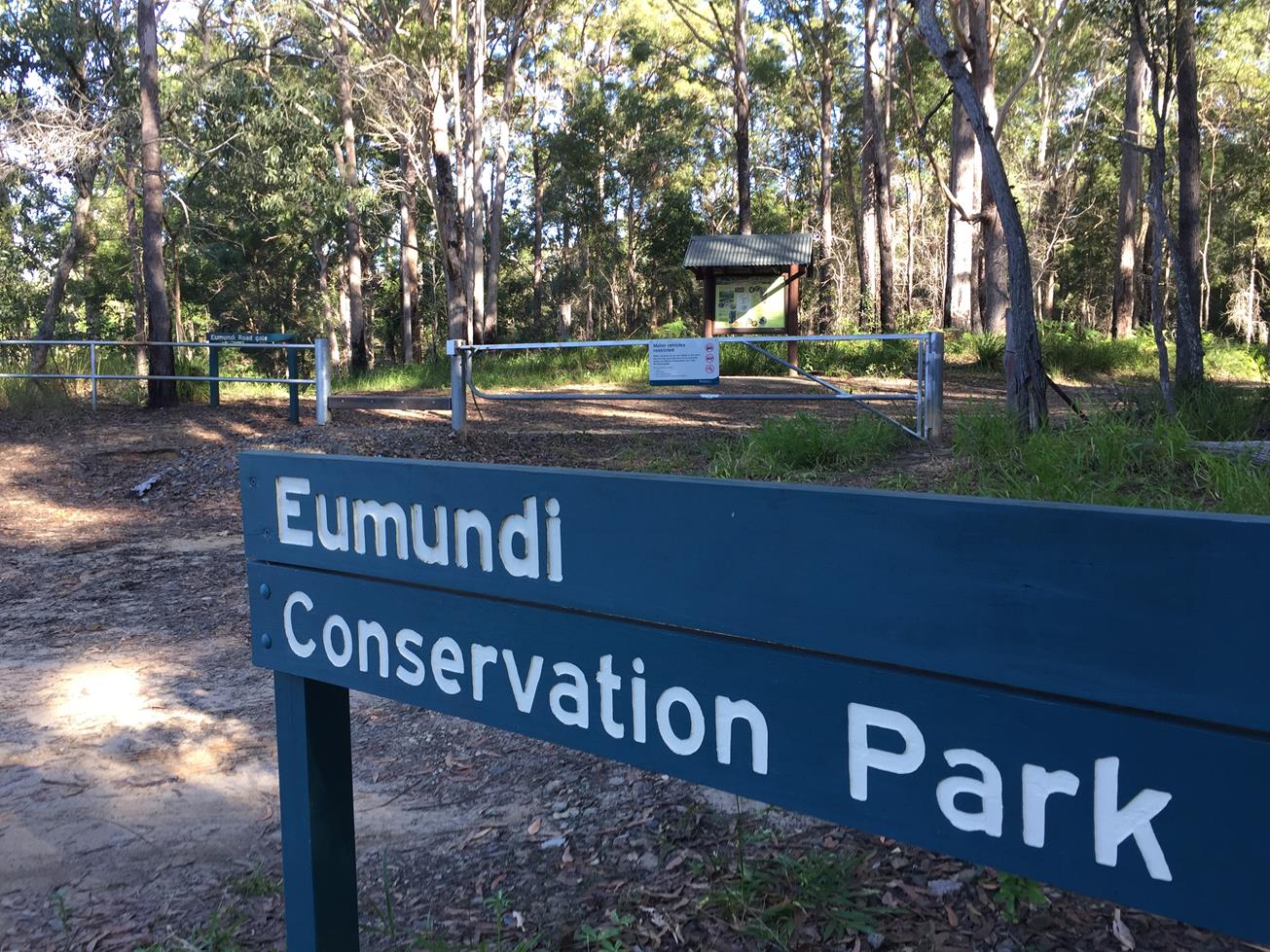 Eumundi Conservation Park Seib Road Loop Adventure Sunshine Coast